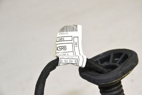 BMW X3 G01 X4 G02 wiązka drzwi tylna lewa prawa 8793254 BMW X3 G01 X4 G02 wiązka drzwi tylna lewa prawa 8793254