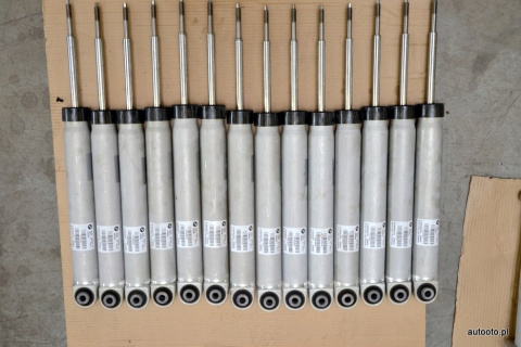 BMW 1 M1 E82 shock absorber rear 7845548 BMW 1 M1 E82 shock absorber rear 7845548