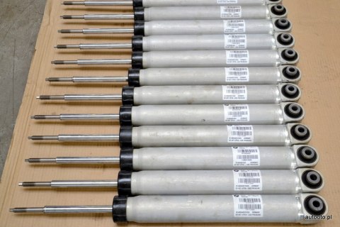 BMW 1 M1 E82 shock absorber rear 7845548 BMW 1 M1 E82 shock absorber rear 7845548